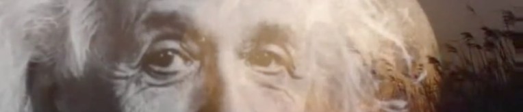 Einstein Banner