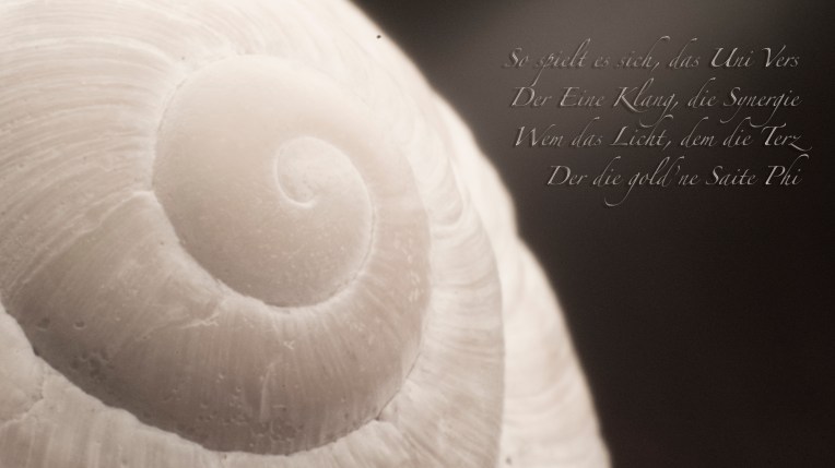 Phi Shell - Das Uni Vers